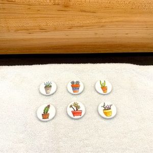 Six Succulent Magnets